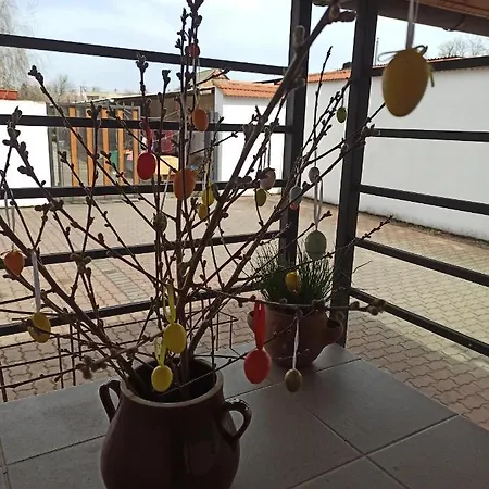 Penzion Pasohlavky Guest house 3*
