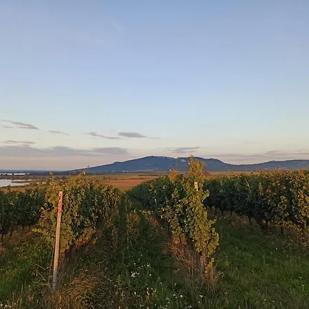 Penzion Pasohlávky 3* Pasohlávky