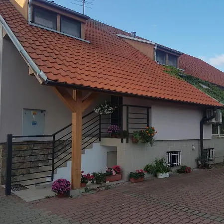 Penzion Pasohlavky Guest house