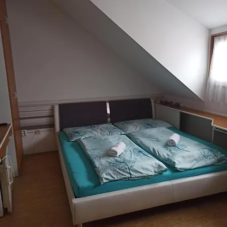 Penzion Pasohlavky Guest house 3*