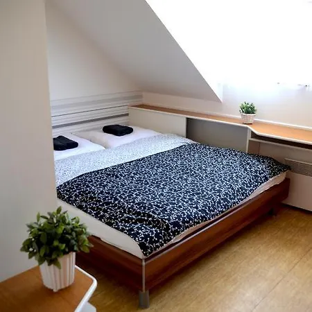 Guest house Penzion Pasohlavky